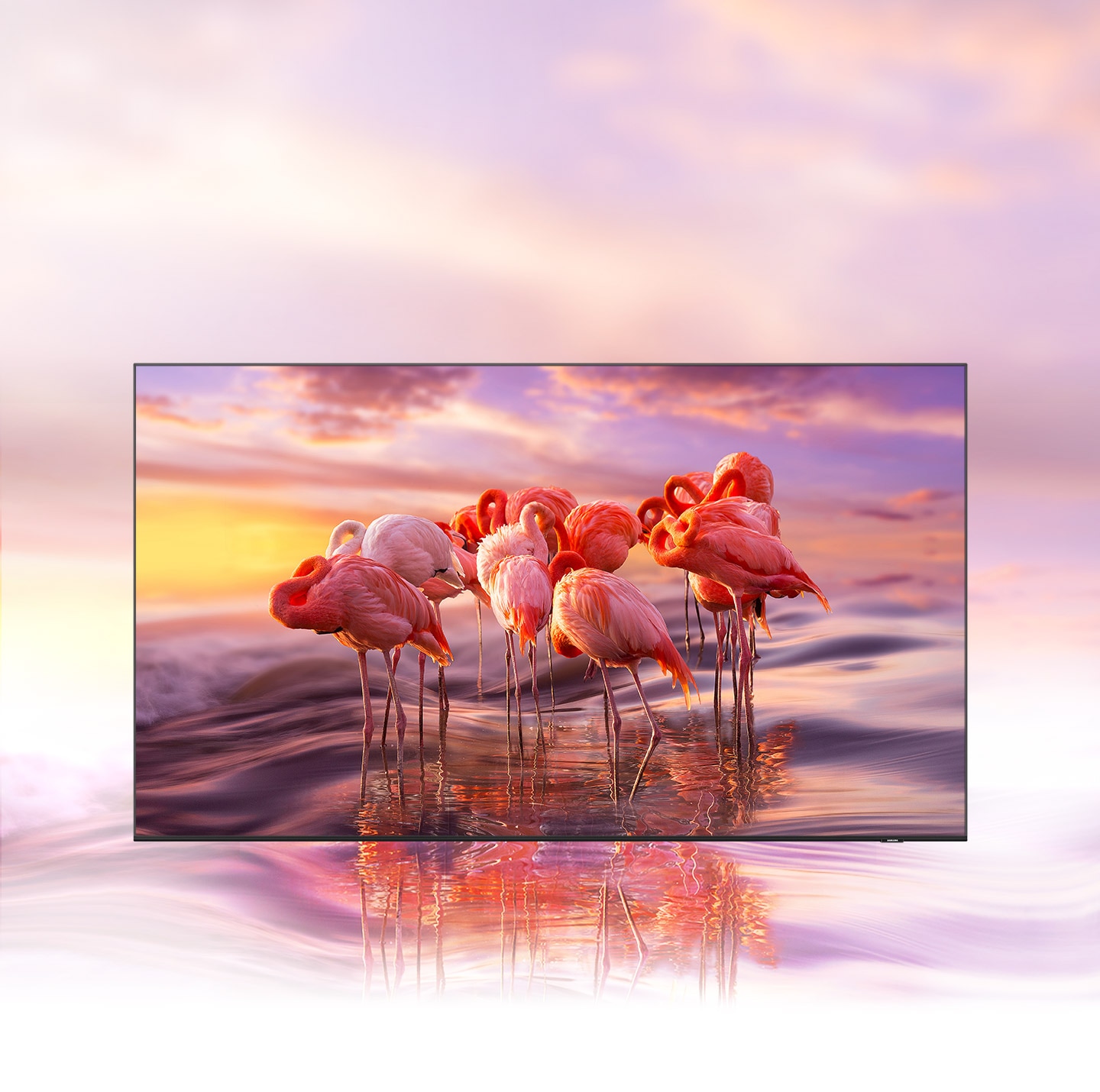 The QLED TV displays an image of flamingos in complex colors to demonstrate the brilliance of the color shades of Quantum Dot technology.