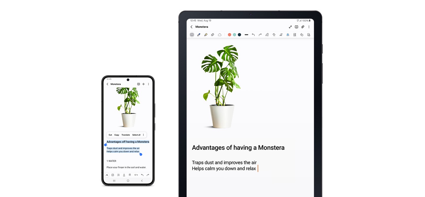 Un smartphone Galaxy et un appareil Galaxy Tab S6 Lite sont présentés l'un à côté de l'autre. L'écran du smartphone affiche l'image d'une plante avec un texte en surbrillance sous la terre. La même image et le même texte sont affichés sur une note dans l'application Samsung Notes sur l'écran de l'appareil Galaxy Tab S6 Lite pour montrer que le contenu a été copié du smartphone vers la tablette lorsque les deux appareils sont synchronisés.