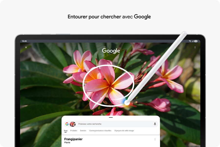 Circle to Search with Google being used on Galaxy Tab S10 FE+ with S Pen on an image of a red Frangipani. Google search results show details about the image. Circle to Search with Google logo shown.