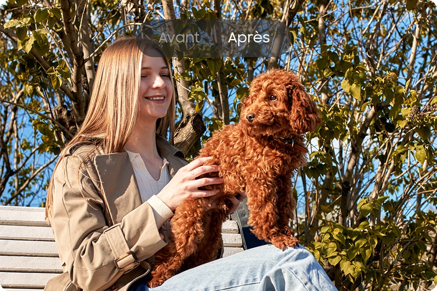 Before and Une image « après » retouchée à l’aide de la fonction « Suggestions de retouche » du Samsung Galaxy A37 5G pour améliorer la qualité. L’image « avant » est moins précise avec une jeune femme et de son chien assis sur un banc de parc.image of a young woman and her dog sitting on a park bench outdoors on a bright day. The After image has been edited with Edit suggestion on Galaxy A37 5G for improved quality.