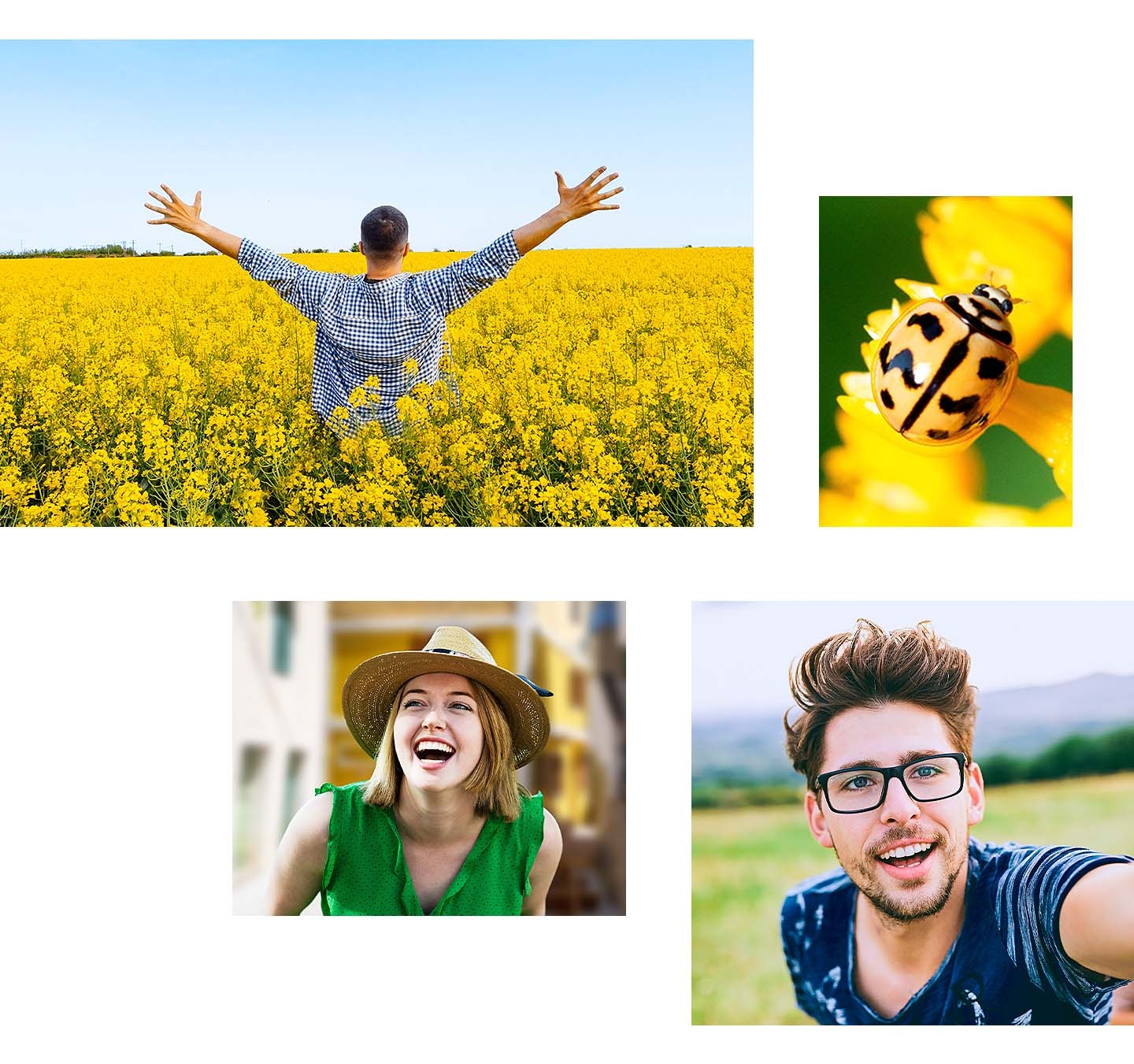 Une photo prise avec l'appareil photo principal montre un homme montrant son dos et écartant les bras au milieu d'un vaste champ de fleurs jaunes. Une autre photo prise avec l'appareil photo Macro montre un cliché détaillé d'une coccinelle jaune. Une photo prise avec l'appareil photo Profondeur montre le portrait d'une femme souriante. Enfin, une photo montre un selfie d'un homme pris avec l'appareil photo frontal.