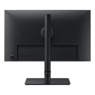 back Black