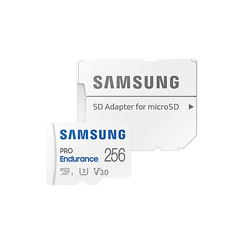Carte microSD PRO Endurance - 256 Go (MB-MJ256KA/EU)