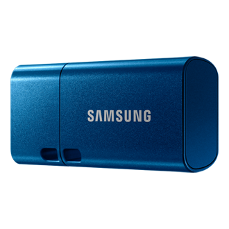 Samsung Clé USB-C (256 Go, USB C, USB 3.1) - acheter sur digitec