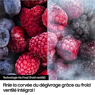 Réfrigérateur Combiné Samsung Bespoke AI - Metal Grey-  Dist Eau (réservoir) - 341L - Classe E -RB34C652ESA Metal Grey