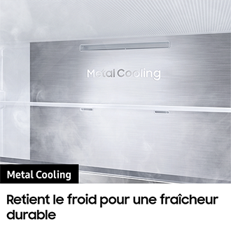 Réfrigérateur Combiné Samsung Bespoke AI - Platinum Inox-  Connecté - 538L - Classe E -RB53DG703ES9 Refined Inox