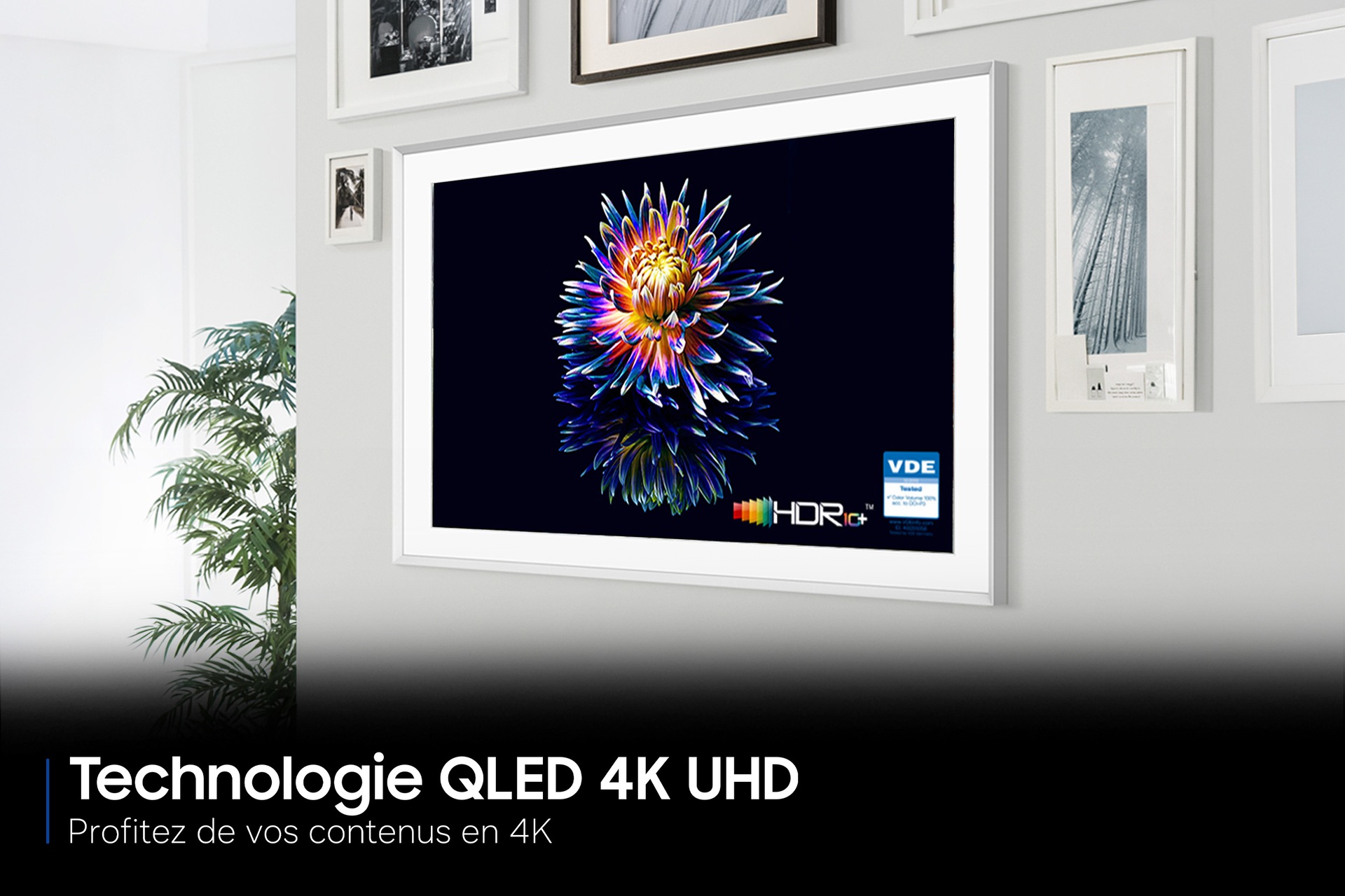 TECHNOLOGIE QLED 4K UHD