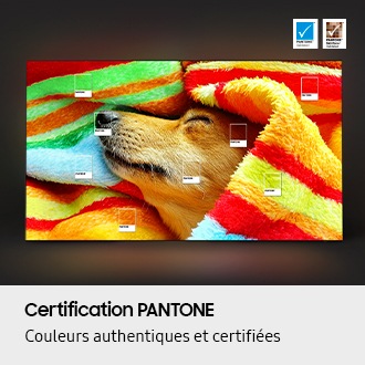 [l-pér~spéc~tívé~2 Gráp~híté~]