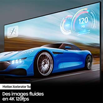 l-perspective2 Black