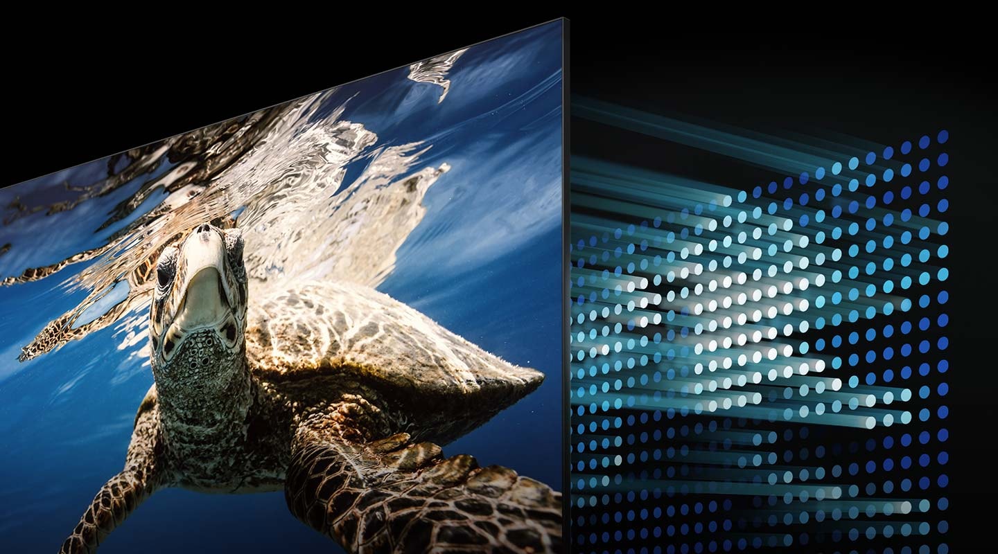QLED TV, yüzen bir kaplumbağayı gösteriyor. QLED ekranın arkasında ekranın kontrast seviyesini kontrol eden LED'ler bulunur.