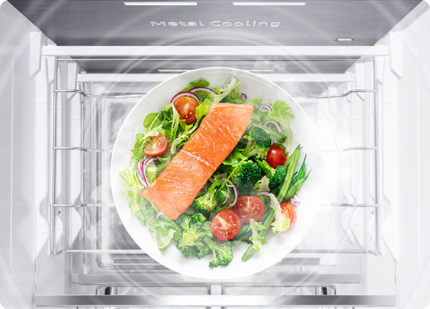 The salmon salad is on the shelf inside the refrigerator, and the cold air is spreading.