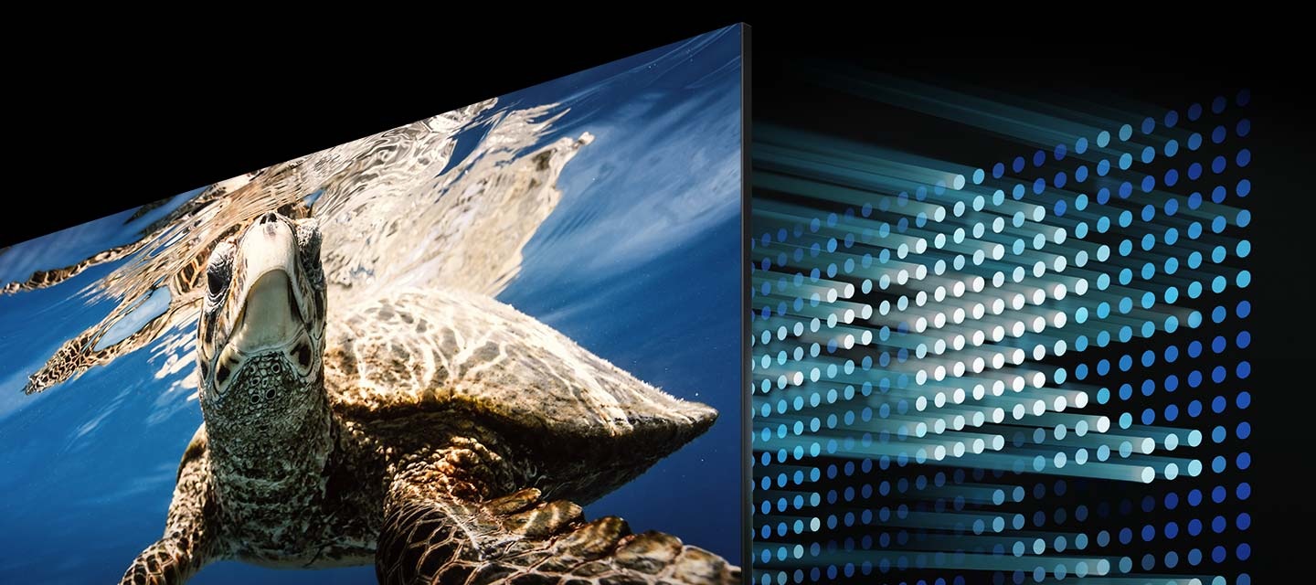 QLED TV'de yüzen bir kaplumbağa gösteriliyor. QLED ekranın arkasında ekranın kontrast seviyesini kontrol eden LED'ler yer alıyor.