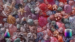 To illustrate the effect of QLED 100% color volume with Quantum Dots, a comparison between partial and 100% color volume are shown, first using the picture of ocean seashells and then a picture of colorful dinner plates. 