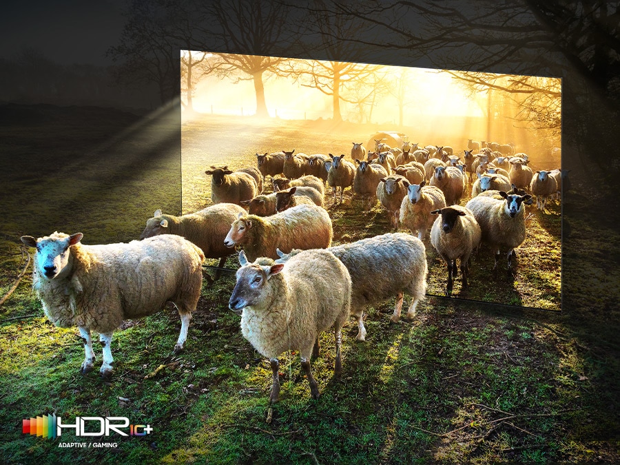 Sheep are coming out from a TV that shows vivid bright and dark contrast. The HDR10+ ADAPTIVE/GAMING logo is on display.