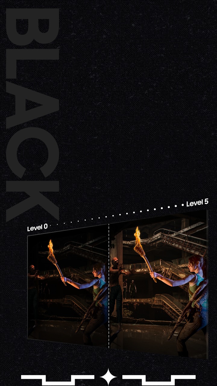 The same scene of a woman holding a torch in an underground crypt is shown side by side. The left scene is labeled "Level 0" and is darker than the right scene, labeled "Level 5".