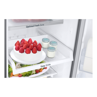 RTF380G Top Mount Freezer RT25F4032S8/SH Detail4 Silver 