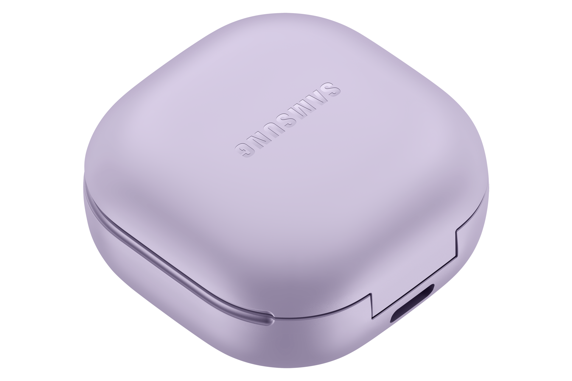 case-l-dynamic Bora Purple