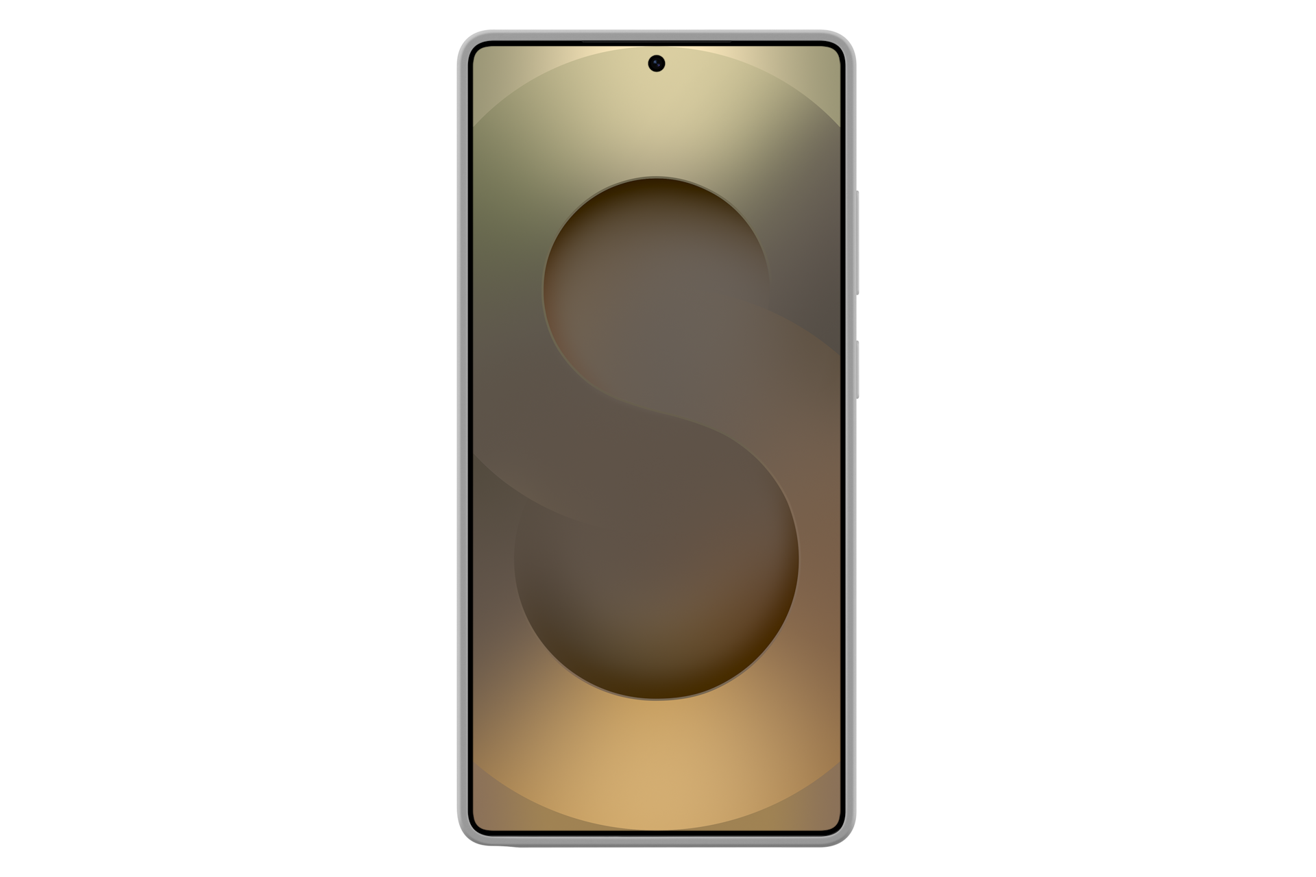 Galaxy S25 Ultra Silicone Case Gray | Samsung Hong Kong