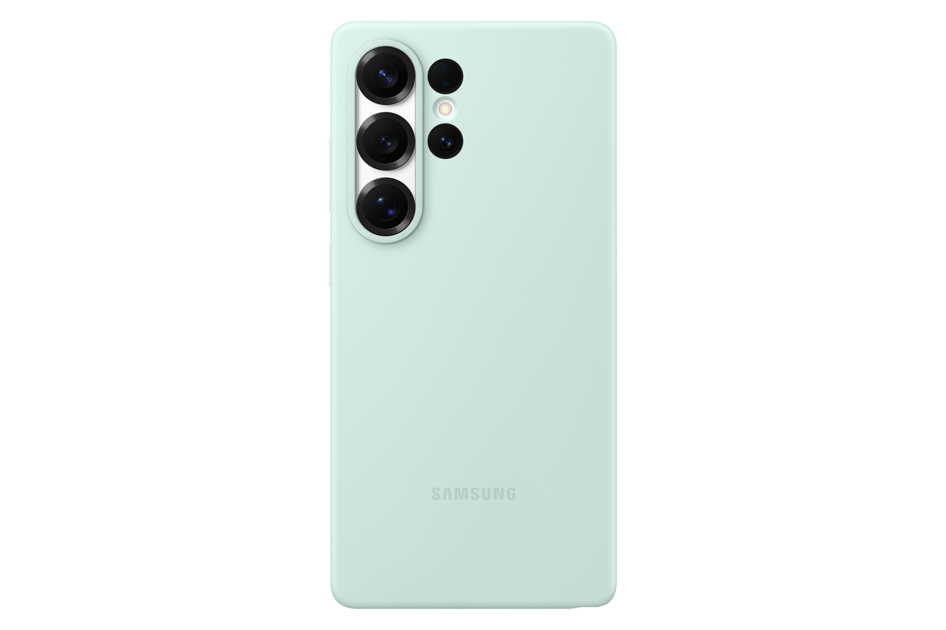 Galaxy S25 Ultra Silicone Case Mint | Samsung Hong Kong