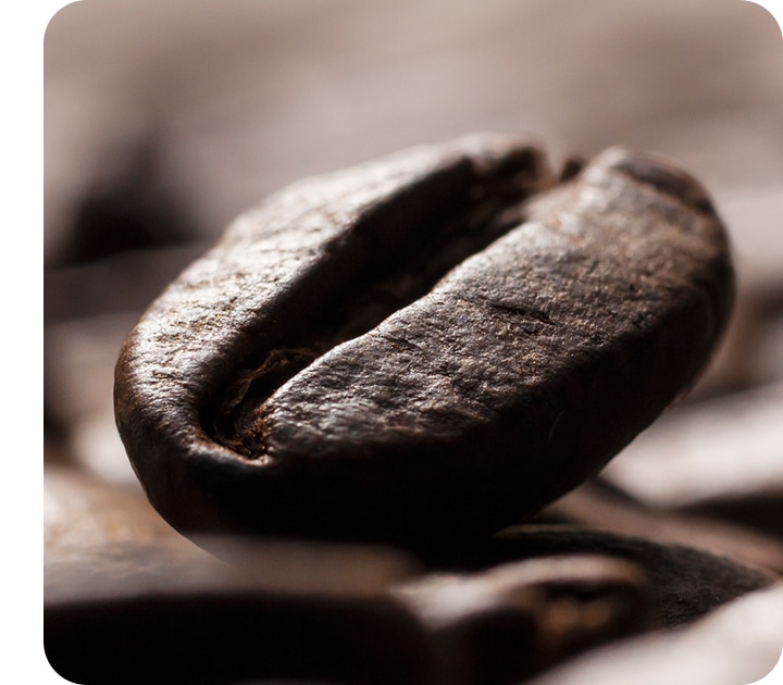 Un gros plan d'un grain de café, montrant de minuscules détails, y compris la surface du grain clairement.