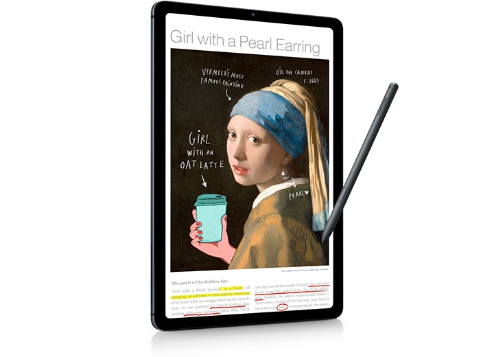 Galaxy Tab S6 Lite (2022 Edition) (Wi-Fi) gray 128 GB