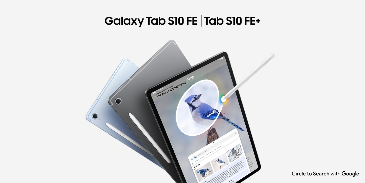 Text reads 'Galaxy Tab S10 FE' and 'Tab S10 FE+'. 3 Galaxy Tab S10 FE+ devices are displayed, 2 shown from the back and one with its screen facing forward. Circle to Search with Google being used on the screen with S Pen on an image of a Blue Jay. Google search results show details about the image. Circle to search with Google logo shown.