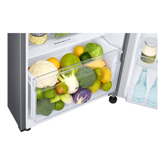 RTF380G Top Mount Freezer RT25F4013S8/SH Detail1 Silver 