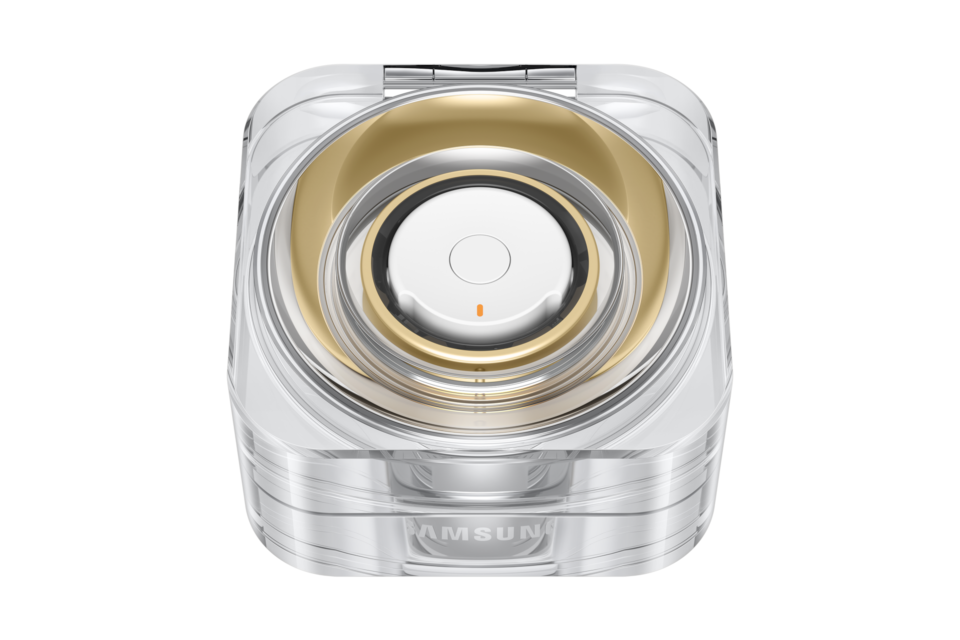charging-case-closed-w--ring Titanium Gold