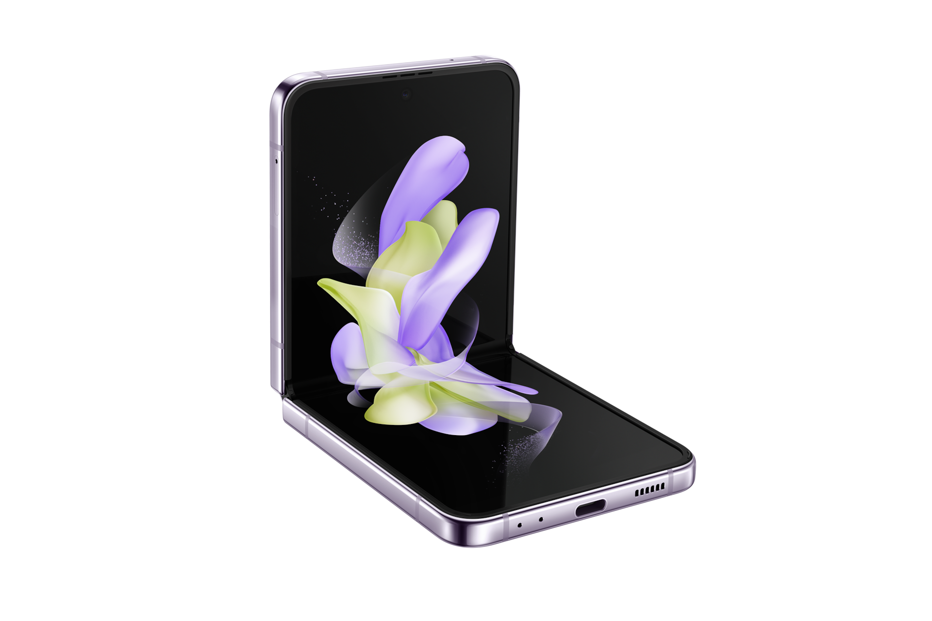 front Bora Purple