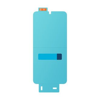 back Transparent