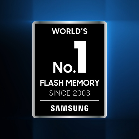 Experience the superior performance and reliability that you can only get from the world's number one brand for flash memory since 2003.