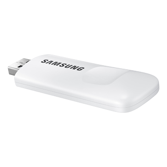 dynamic White