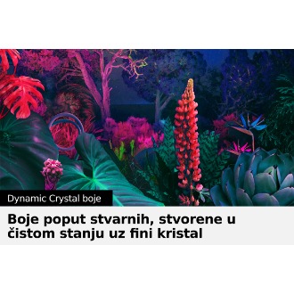 Crystal UHD TV BU8000 s tehnologijom Dynamic Crystal Color može prikazati puni raspon boja