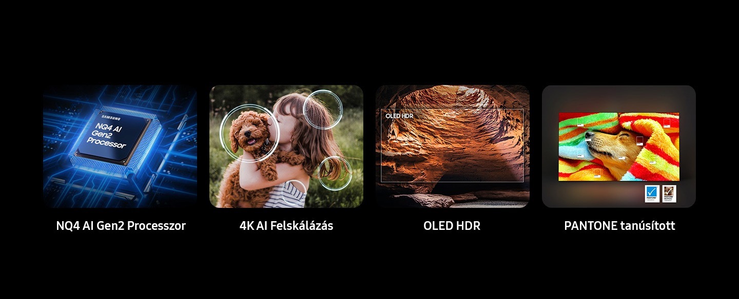 Kiemelt jellemzők