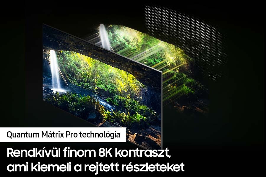 [QÉ65QÑ~800CTXX~H] 