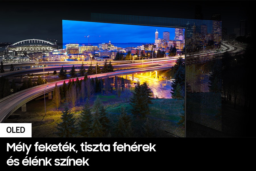 QE55S90DAEXXH 