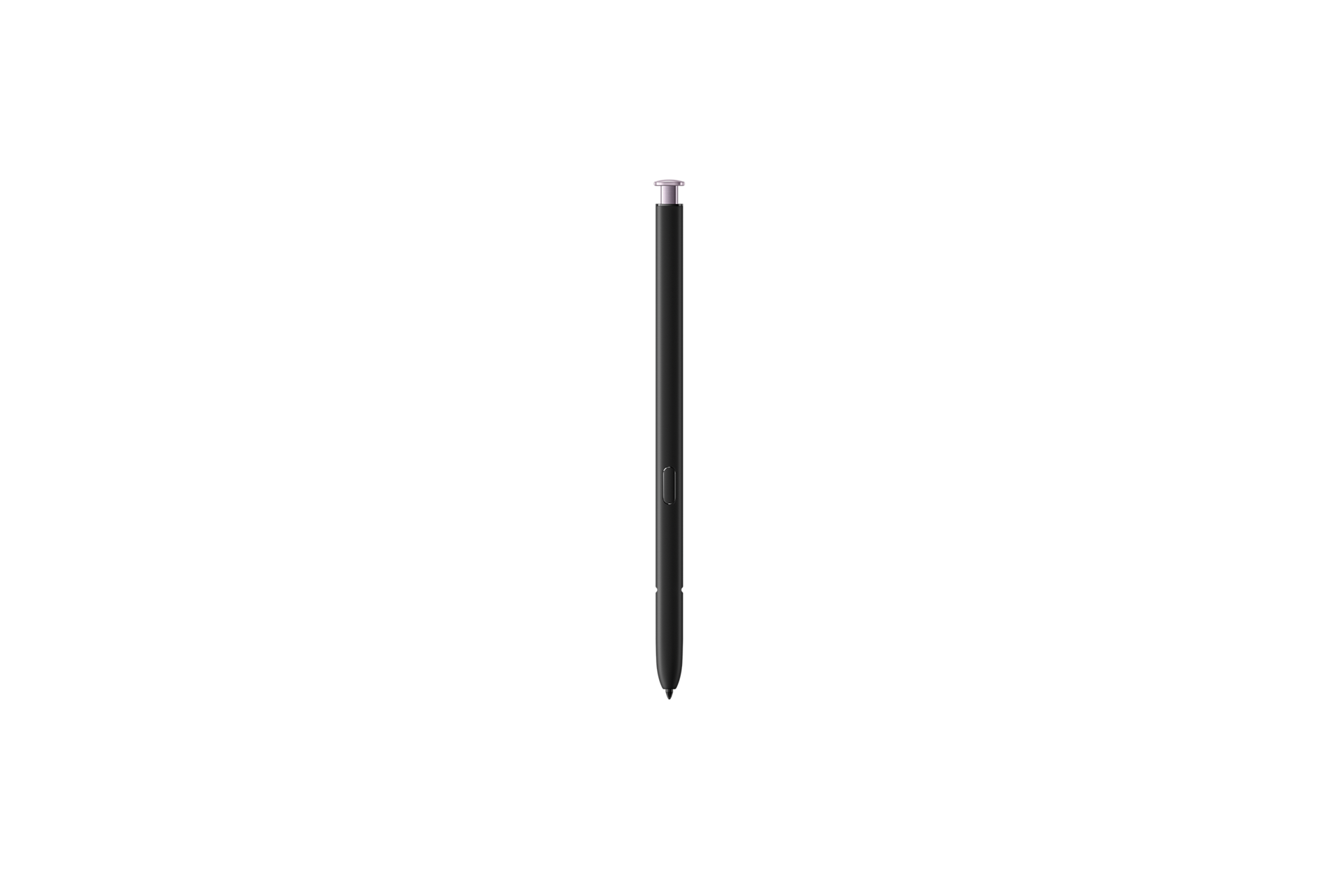 penfront Lavender