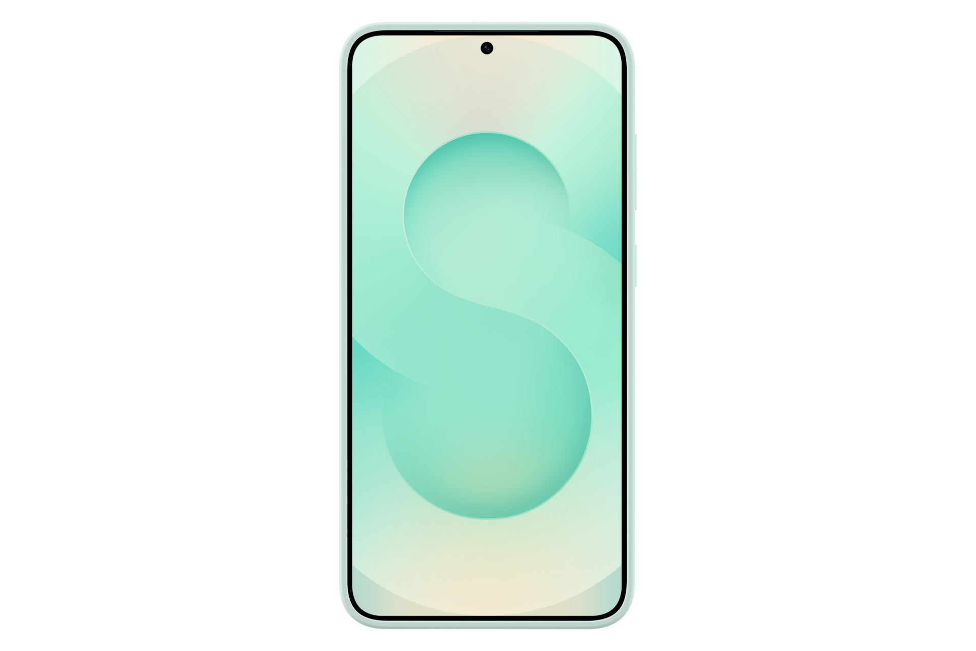 back Mint