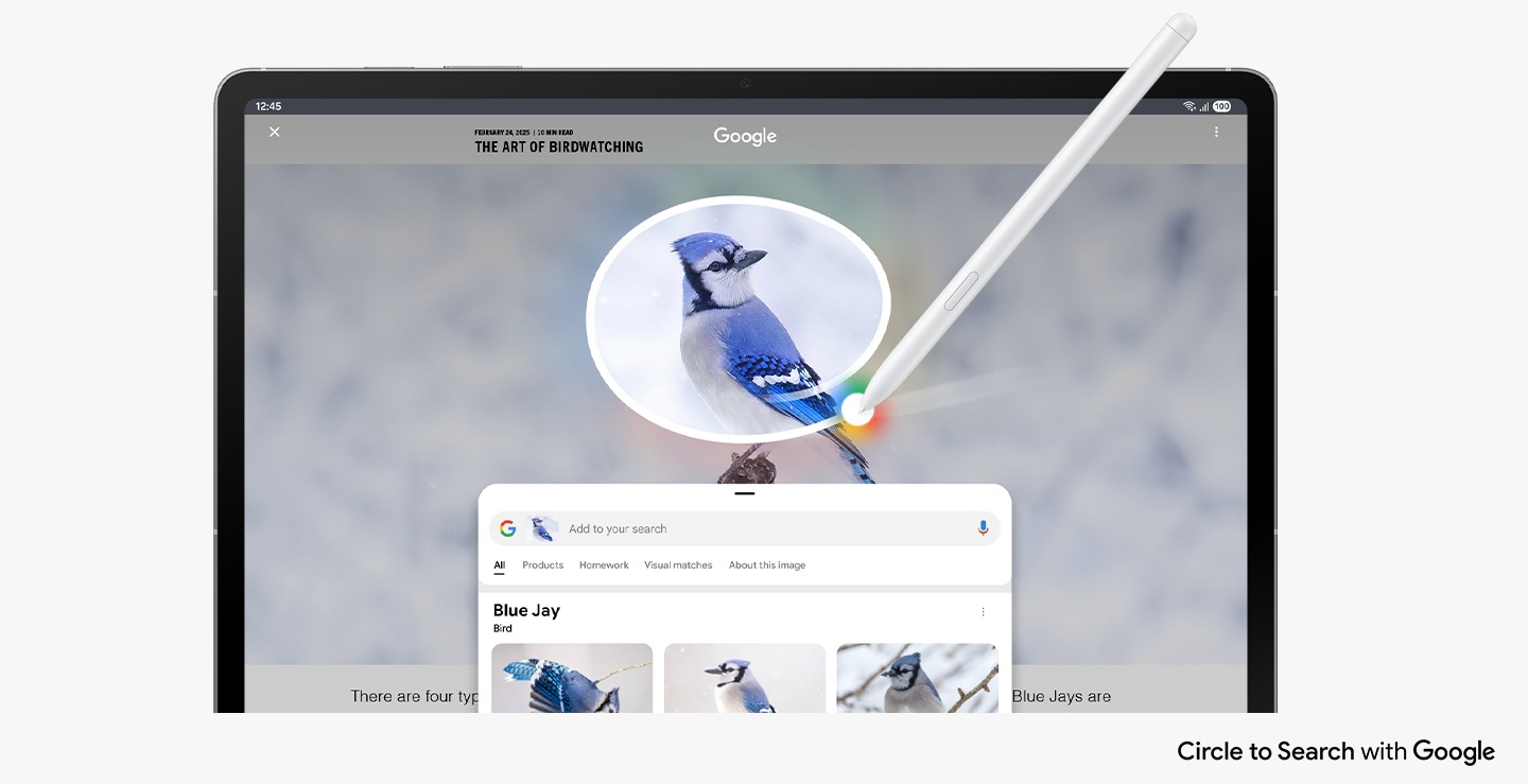 Circle to Search with Google being used on the screen with S Pen on an image of a Blue Jay. Google search results show details about the image. Circle to search with Google logo shown.