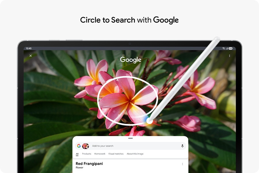 Circle to Search with Google being used on Galaxy Tab S10 FE+ with S Pen on an image of a red Frangipani. Google search results show details about the image. Circle to Search with Google logo shown.