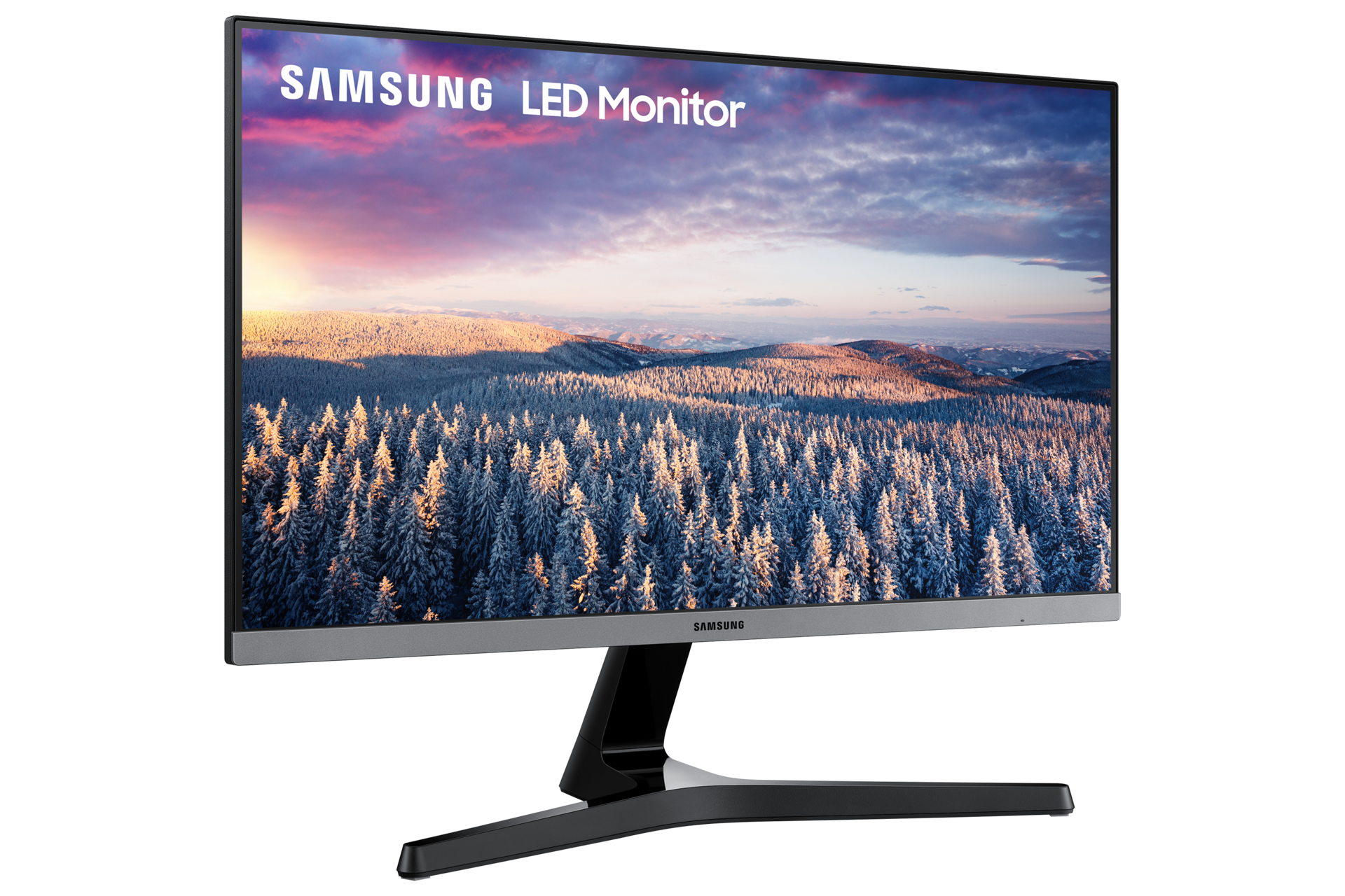 l-perspective Transparent