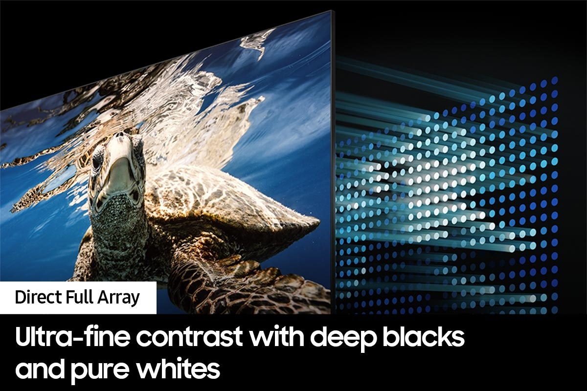 A QLED TV shows a turtle swimming. Behind the QLED screen are LEDs controlling the contrast level of the display.