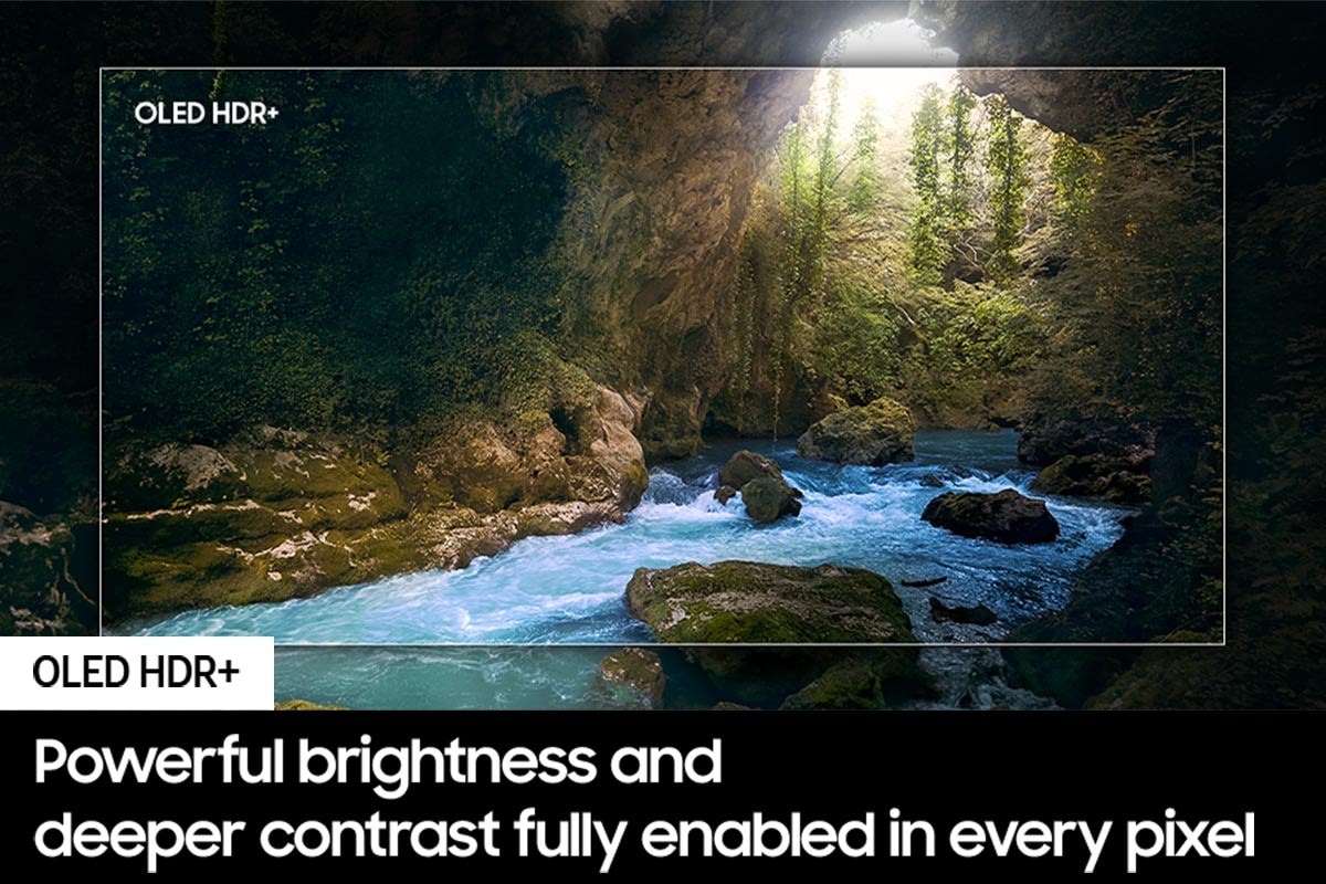 A scene in nature is highlighted at the center in the outline of a TV screen, showing how "OLED HDR+" reveals bright highlights and hidden details in the scene.