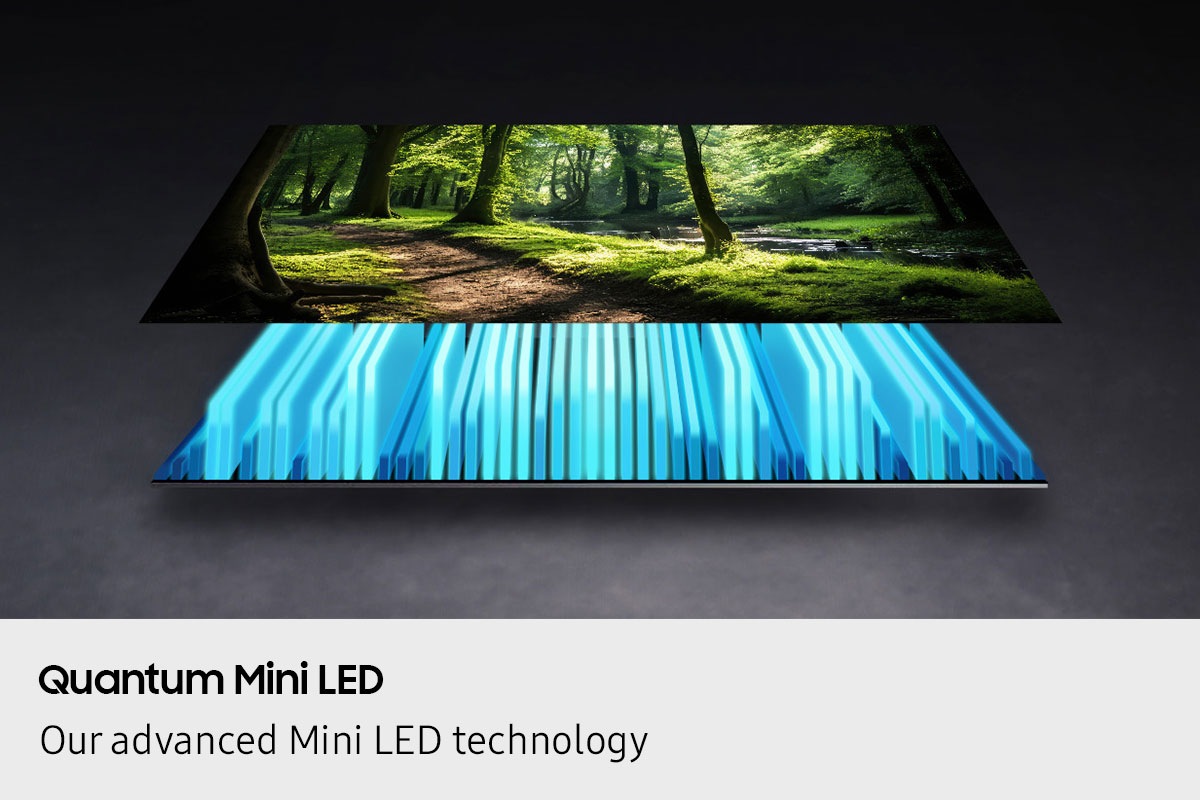 A TV backlight and screen are separated out, with the Mini LED backlight illuminating the screen to depict a vivid scene of a forest.