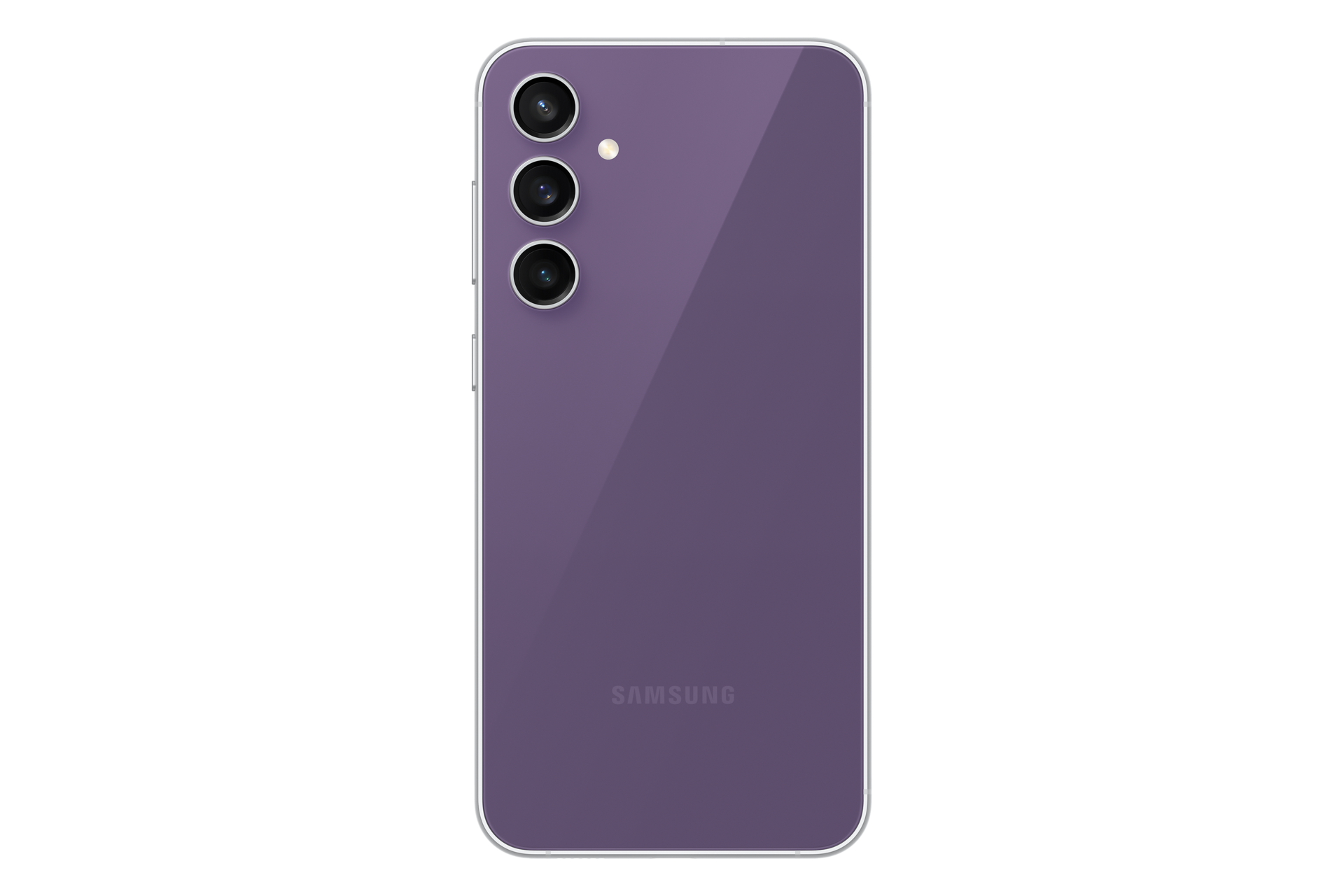 back Purple