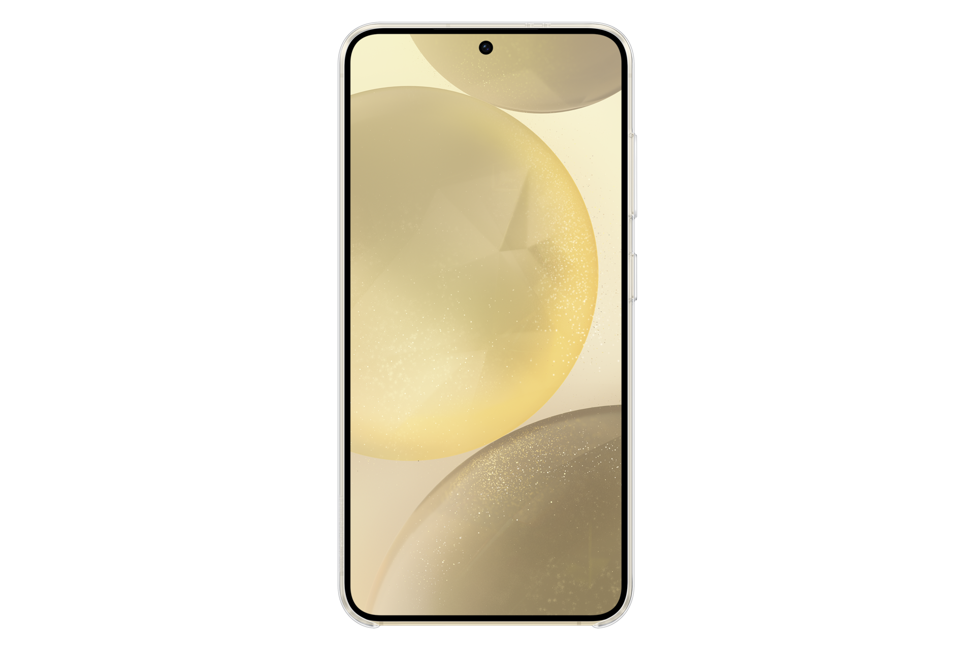 back Transparent