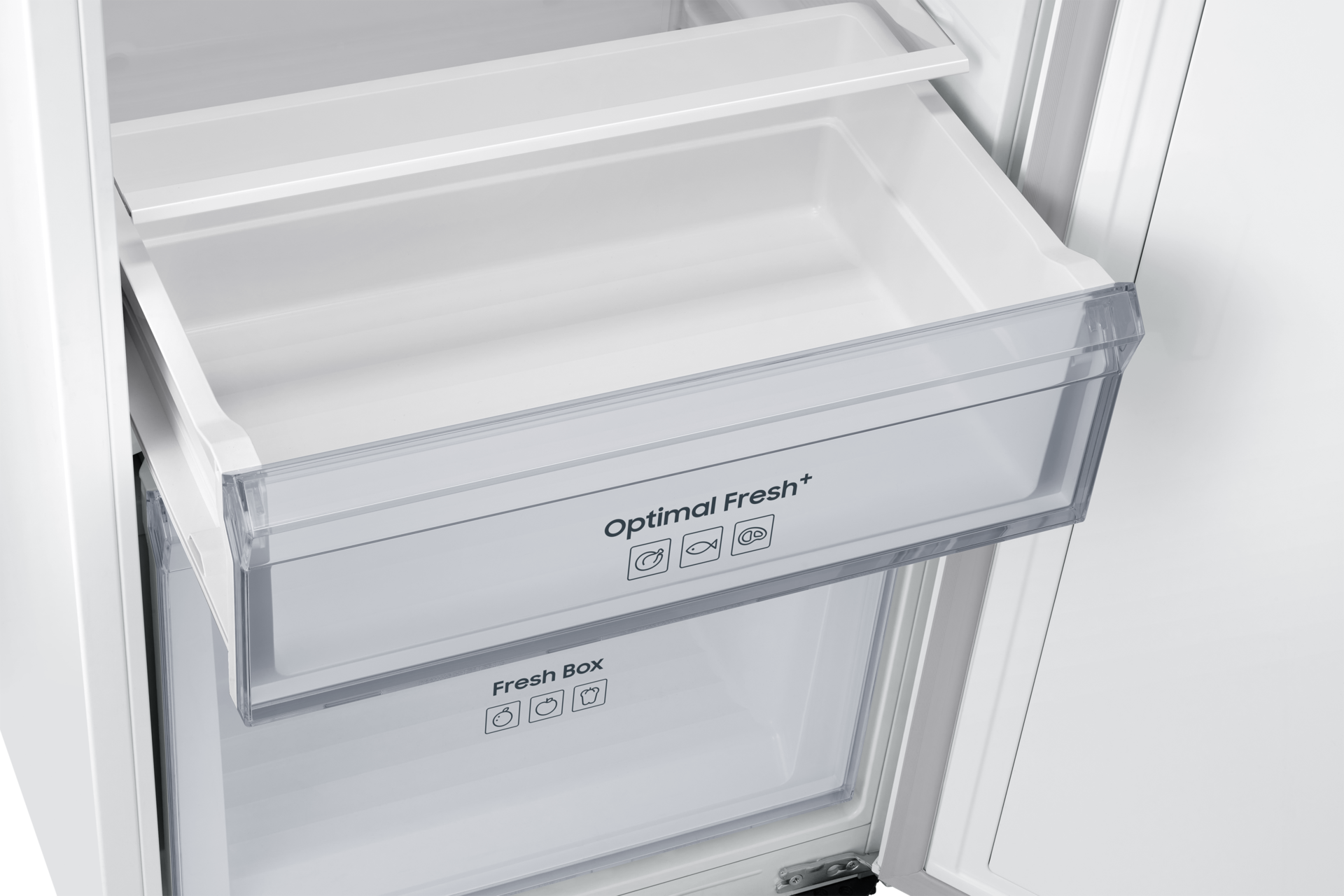 optimal-fresh White