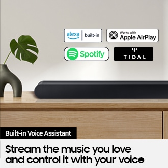 built in voice assistant