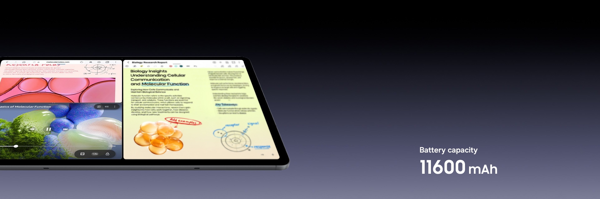 Galaxy Tab S12 Ultra displaying a three-way split window view with different studying materials to emphasize the long-lasting battery. Battery capacity is 11600 mAh.