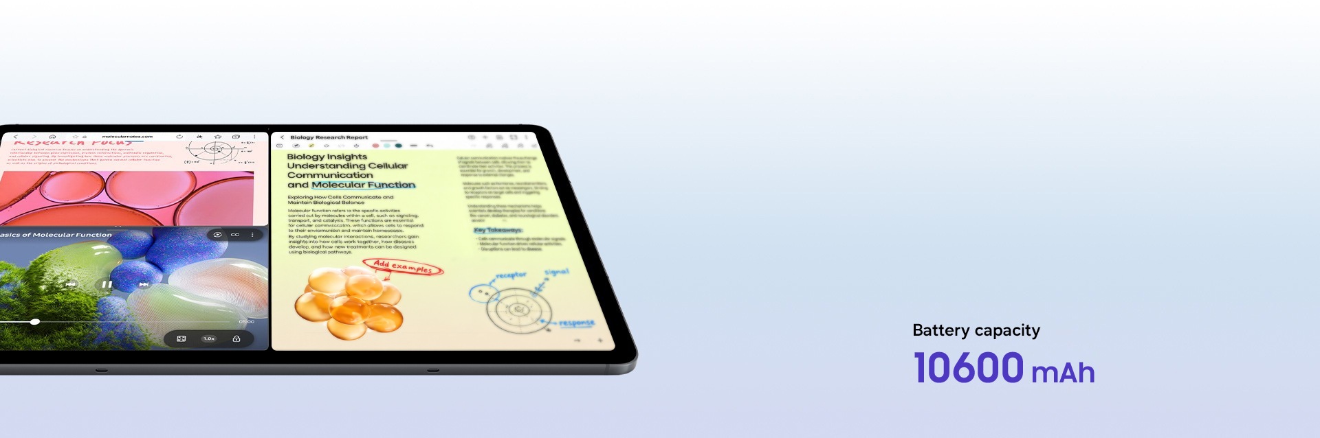 Galaxy Tab S12 Plus displaying a three-way split window view with different studying materials to emphasize the long-lasting battery. Battery capacity is 10600 mAh.